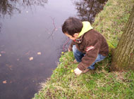 Even dit boterbloemetje plukken voor mamma